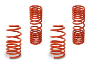 Neuspeed race springs. Golf/GTI/Jetta 80-84, Scirocco I & II 80-88